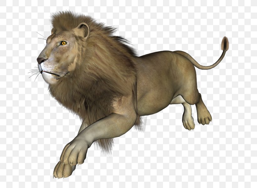 East African Lion 3D Rendering, PNG, 800x600px, 3d Computer Graphics, 3d Rendering, East African Lion, Big Cats, Carnivoran Download Free