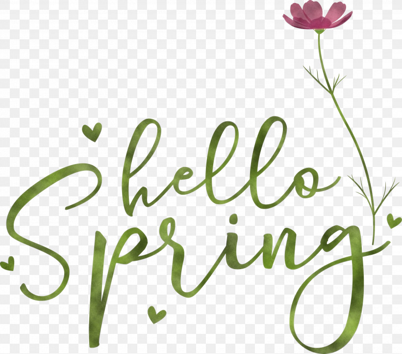Hello Spring Spring, PNG, 3000x2638px, Hello Spring, Calligraphy, Cut Flowers, Floral Design, Flower Download Free