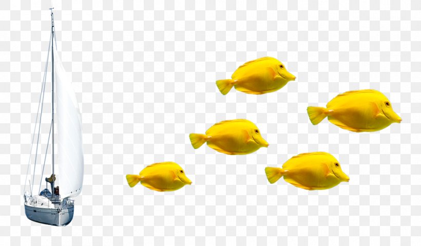 Oranda Fish Yellow, PNG, 963x563px, Oranda, Android, Animal, Clownfish, Designer Download Free