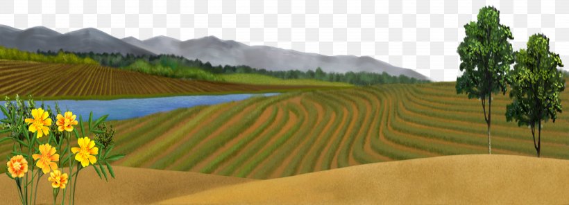Spring Scenery Freehand Outskirts, PNG, 3000x1086px, Fundal, Adobe Freehand, Agriculture, Crop, Ecosystem Download Free