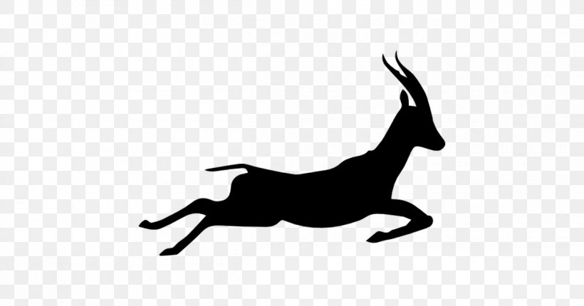 Gazelle Drawing Clip Art, PNG, 1200x630px, Gazelle, Antelope, Black, Black And White, Business Download Free
