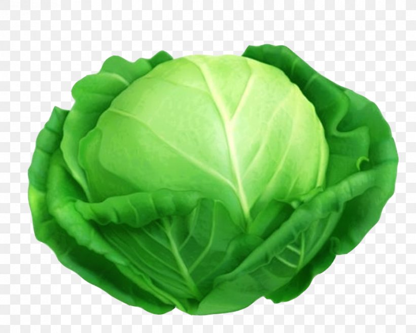 Red Cabbage Savoy Cabbage Leaf Vegetable, PNG, 930x745px, Cabbage, Brassica Oleracea, Chinese Cabbage, Collard Greens, Food Download Free