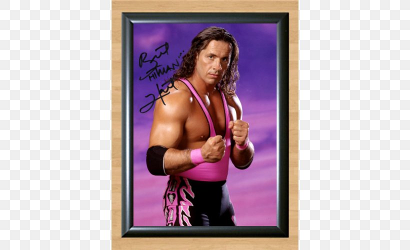 Hitman Hart: Wrestling With Shadows Montreal Screwjob Professional Wrestler Professional Wrestling, PNG, 500x500px, Watercolor, Cartoon, Flower, Frame, Heart Download Free