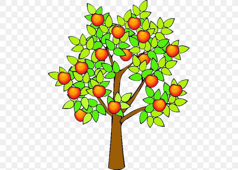 Fruit Trees - Home Gardening Apple, Cherry, Pear, Plum: Apple Fruit