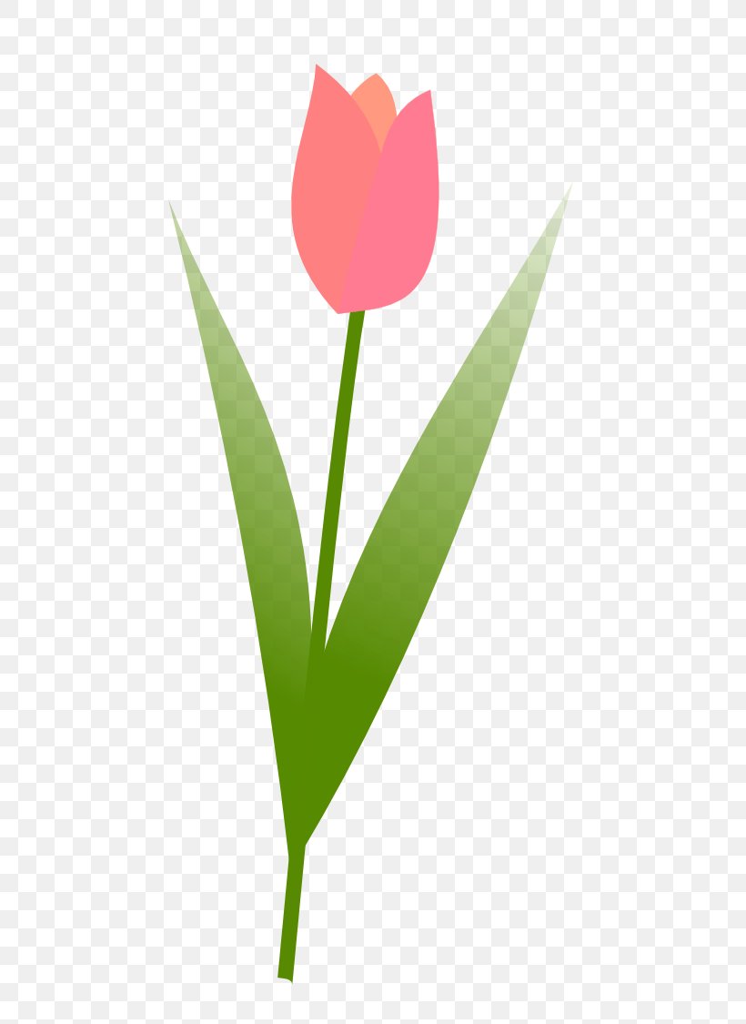 Tulip Free Content Flower Clip Art, PNG, 555x1125px, Tulip, Blog, Flora, Flower, Flower Bouquet Download Free
