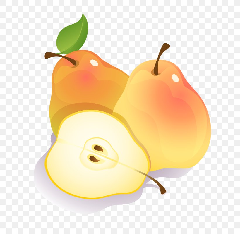 Vector Graphics Clip Art Fruit Asian Pear, PNG, 800x800px, Fruit, Accessory Fruit, Asian Pear, Chinese White Pear, Food Download Free
