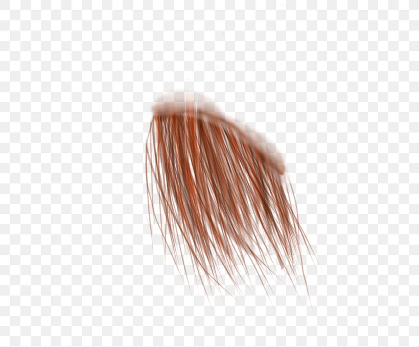 Brush Eyebrow Close-up, PNG, 668x681px, Brush, Close Up, Closeup, Copper, Eyebrow Download Free