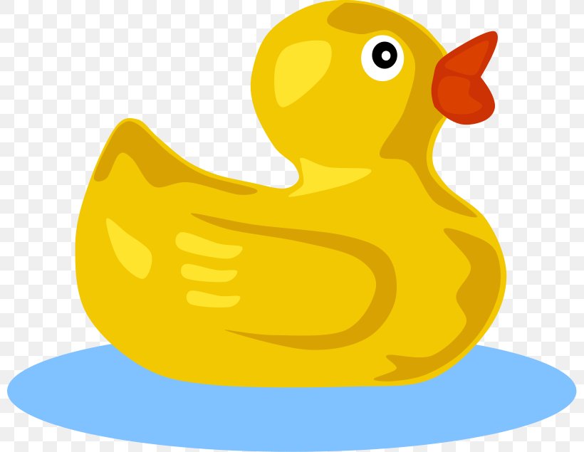 Duck Clip Art, PNG, 800x635px, Duck, Beak, Bird, Cartoon, Ducks Geese And Swans Download Free