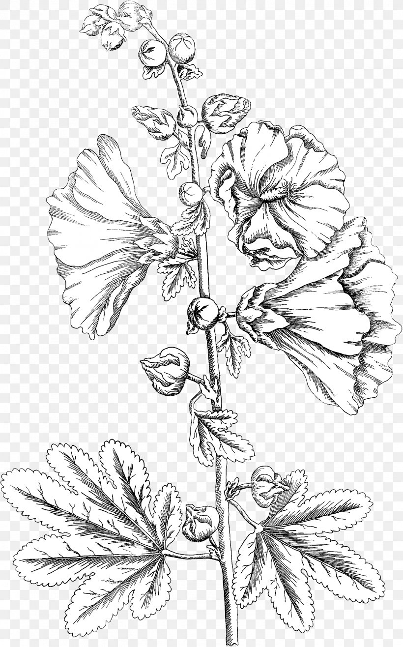 Floral Design Twig Leaf, PNG, 1495x2400px, Floral Design, Art, Artwork, Black And White, Branch Download Free