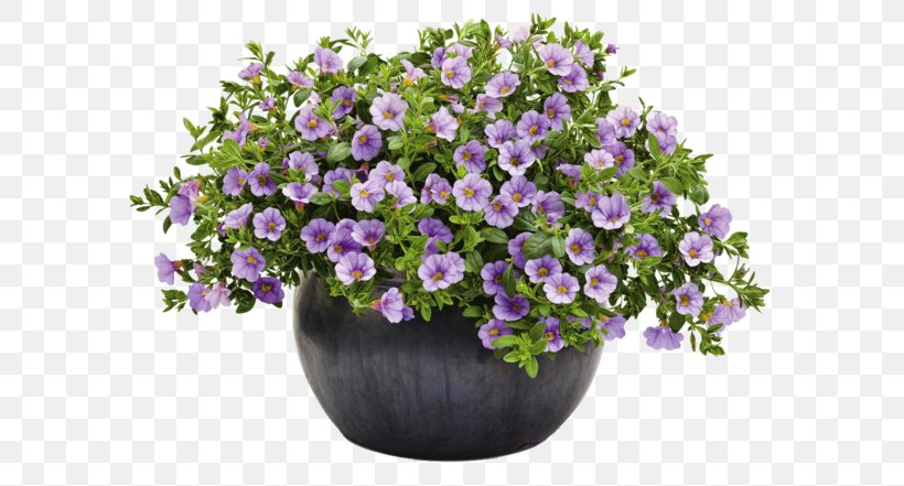 Flowerpot Barrel Flower Garden, PNG, 600x441px, Flowerpot, Annual Plant, Aubretia, Barrel, Calibrachoa Download Free