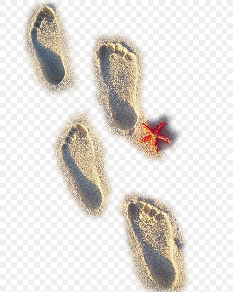 Sand Beach Footprint, PNG, 688x1024px, Sand, Beach, Dots Per Inch ...