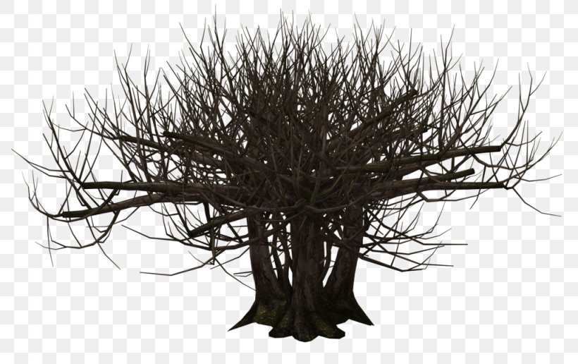 Tree Woody Plant 3D Rendering, PNG, 1024x645px, 3d Computer Graphics, 3d Rendering, Tree, Art, Black And White Download Free