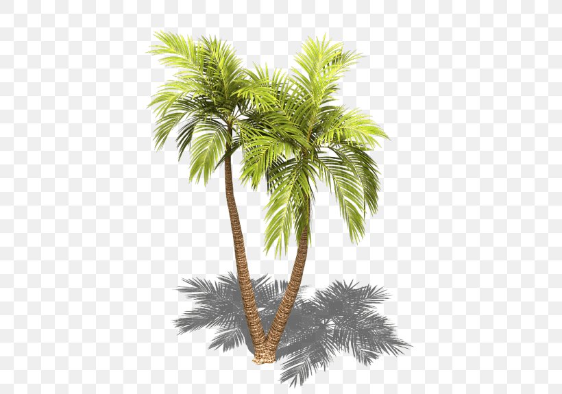 Asian Palmyra Palm Arecaceae Sprite Tree Isometric Projection, PNG, 429x575px, 2d Computer Graphics, 3d Computer Graphics, Asian Palmyra Palm, Areca Nut, Arecaceae Download Free