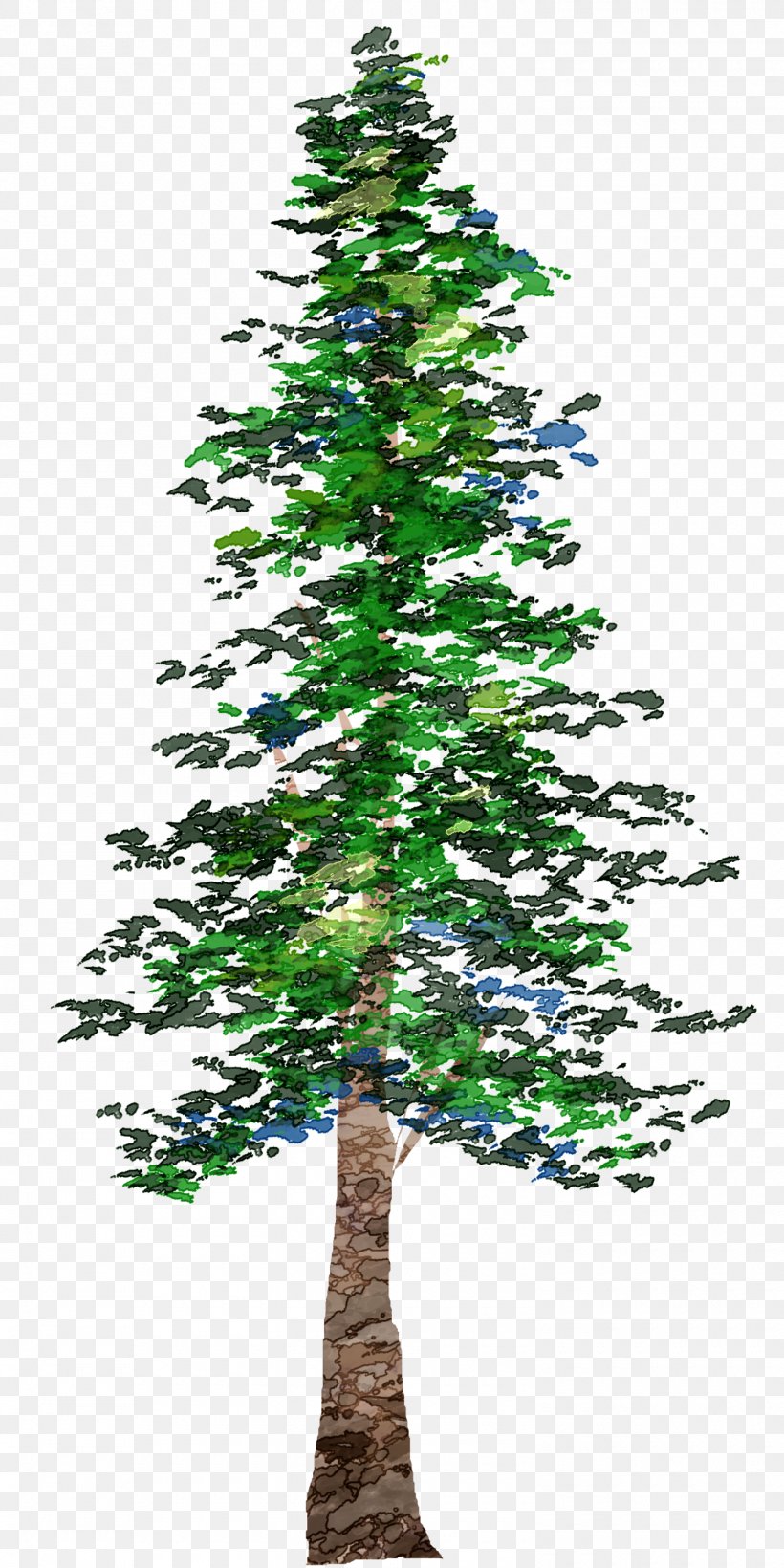 Pine Tree Conifers, PNG, 1500x3000px, Pine, Branch, Christmas Decoration, Christmas Ornament, Christmas Tree Download Free