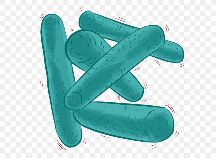 Bacteria Cartoon, PNG, 600x600px, Lactobacillus, Bacteria, Bifidobacterium, Bifidobacterium Longum, Finger Download Free