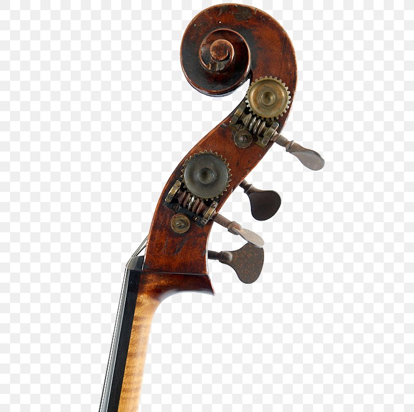 Cello Viola Violin Double Bass, PNG, 500x816px, 19th Century, Cello, Bass Guitar, Bowed String Instrument, Double Bass Download Free
