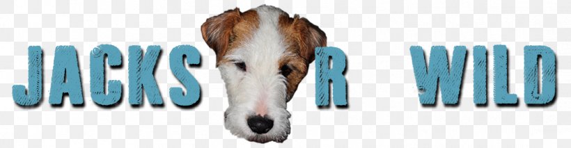 Parson Russell Terrier Jack Russell Terrier Breed, PNG, 1096x285px, Parson Russell Terrier, Alberta, Animal, Animal Figure, Brand Download Free