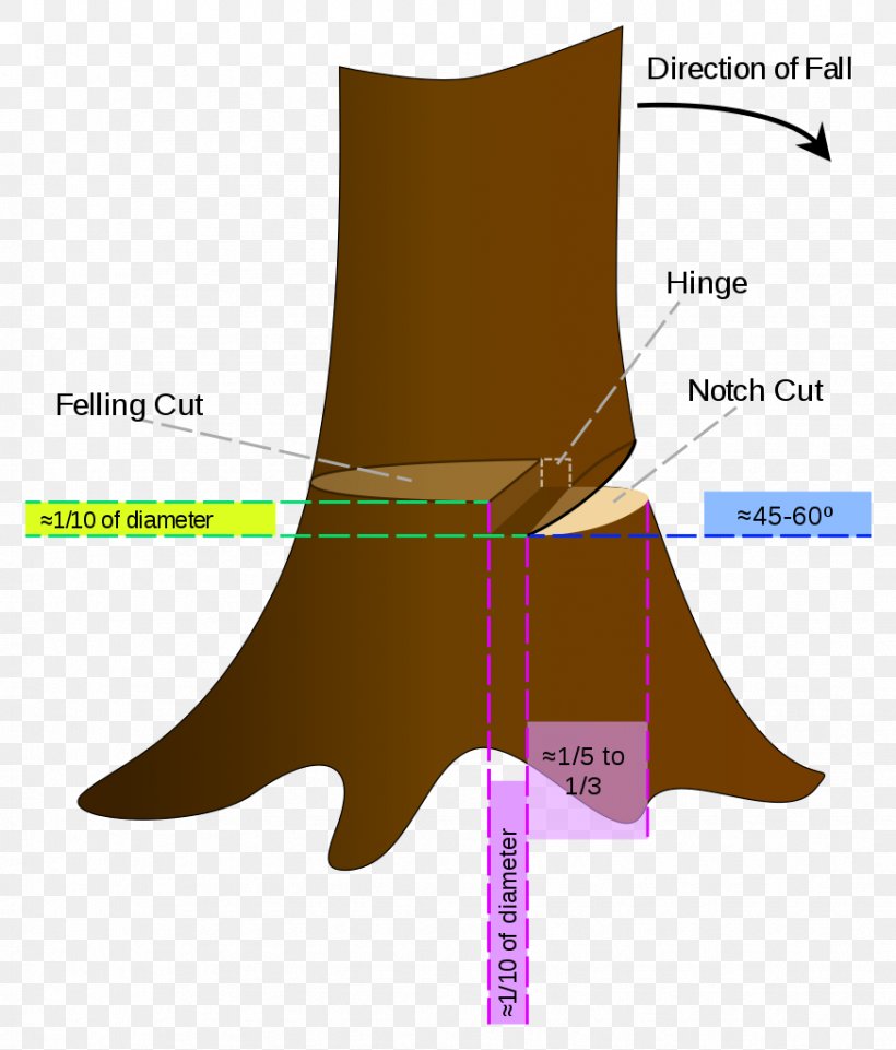 Felling Tree Cutting Chainsaw Forest, PNG, 873x1024px, Felling, Chainsaw, Cutting, Datenmenge, Diagram Download Free