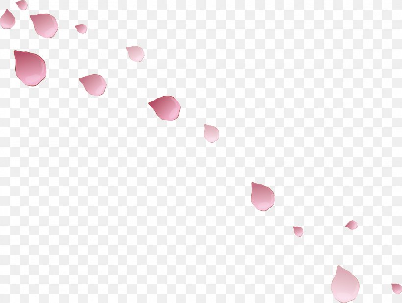 Petal Rose Flower, PNG, 1614x1217px, Petal, Beauty, Color, Computer, Computer Font Download Free