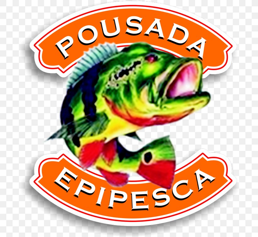Recreational Fishing Fishing Baits & Lures Plug Sports, PNG, 700x754px, Fishing, Area, Bass, Croaker, Fish Download Free