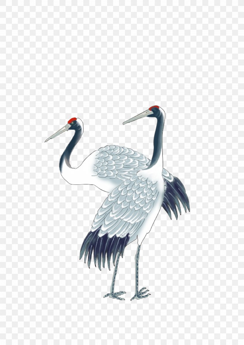 Siberian Crane Download, PNG, 6300x8910px, Crane, Beak, Bird, Ciconiiformes, Crane Like Bird Download Free