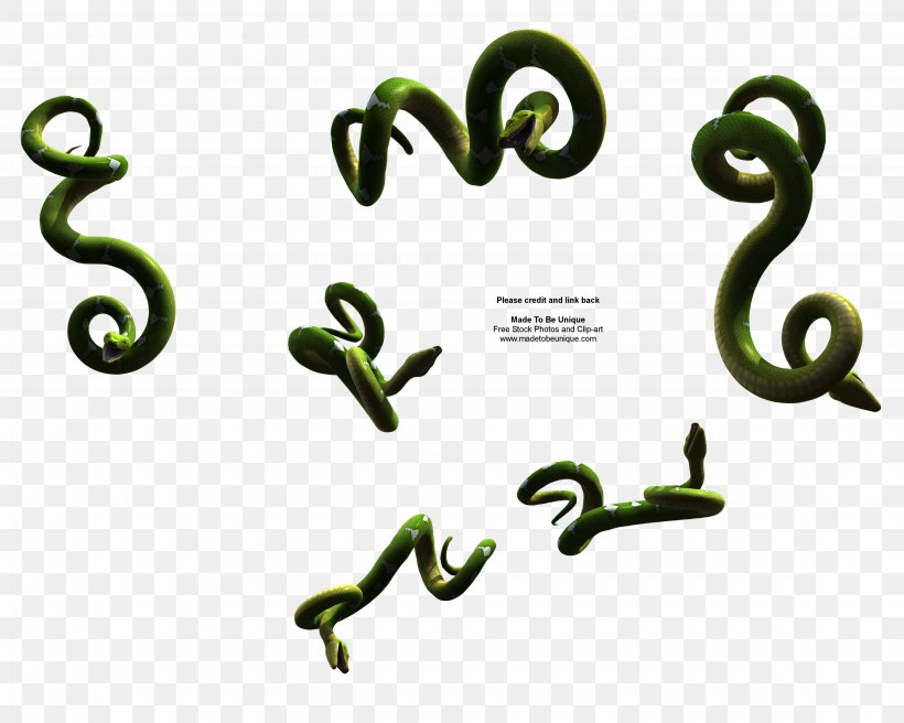 Snake Reptile Clip Art, PNG, 4500x3600px, 3d Computer Graphics, Snake, Ahaetulla Prasina, Body Jewelry, Cobra Download Free