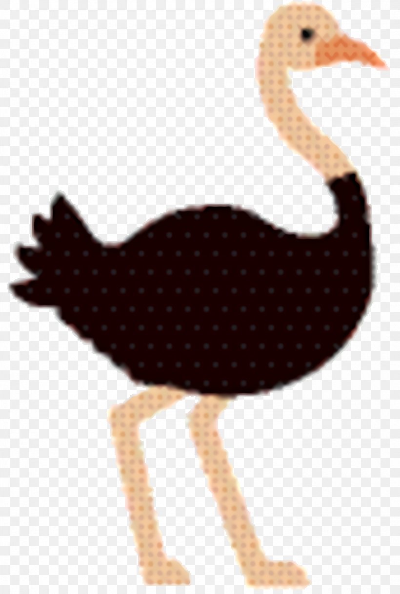 Chicken Cartoon, PNG, 1380x2052px, Common Ostrich, Beak, Bird, Chicken, Ducks Download Free