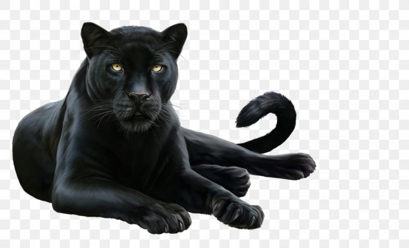 Felidae Leopard .de Information .co, PNG, 1024x621px, Felidae, Big Cats, Black Panther, Carnivoran, Cat Like Mammal Download Free