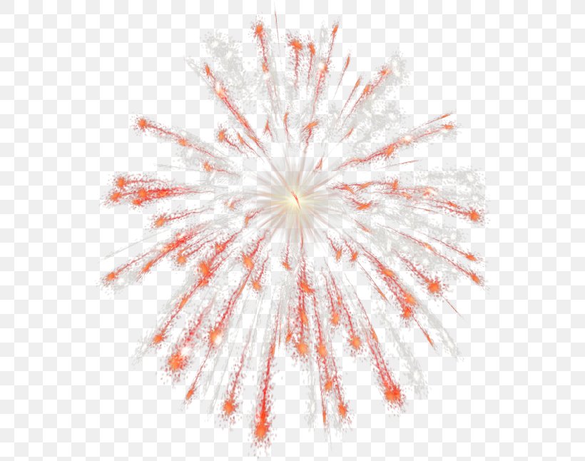 Fireworks Independence Day Clip Art, PNG, 559x646px, Fireworks, Independence Day, New Year, New Years Day, Petal Download Free