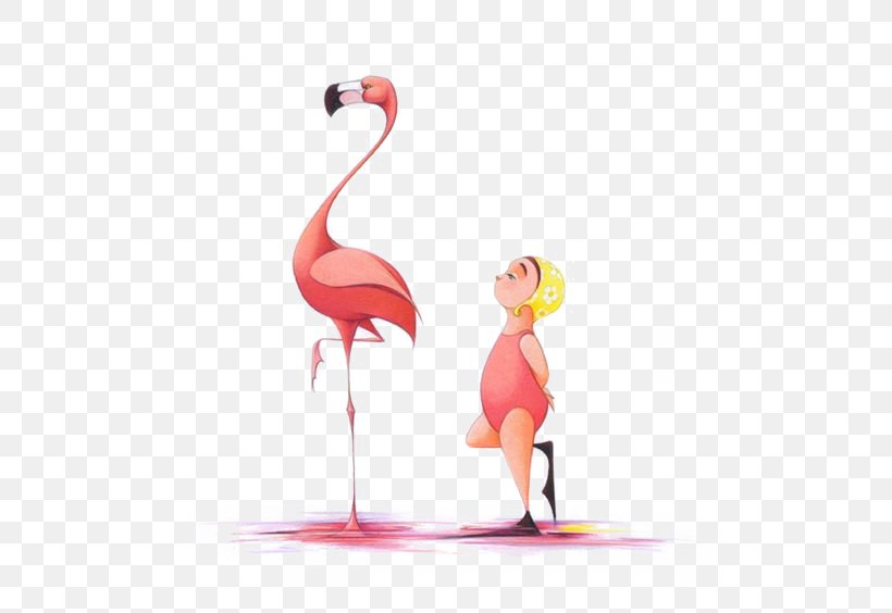 Flora And The Flamingo Flamingos Flora Y El Flamenco Fredericks Journey: The Life Of Frederick Douglass Illustrator, PNG, 564x564px, Flora And The Flamingo, Author, Beak, Bird, Book Download Free