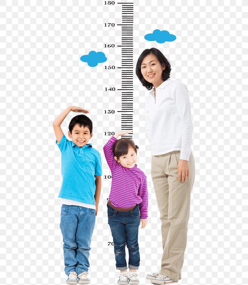 Child Measurement Growth Chart Human Height Calcium, PNG, 482x944px, Watercolor, Cartoon, Flower, Frame, Heart Download Free