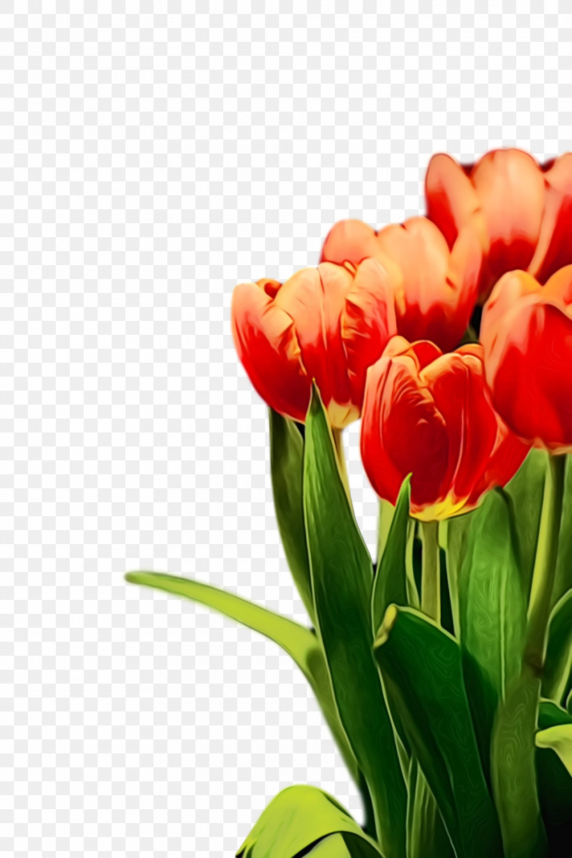 Flower Petal Tulip Plant Red, PNG, 960x1440px, Spring, Bud, Cut Flowers, Flower, Leaf Download Free