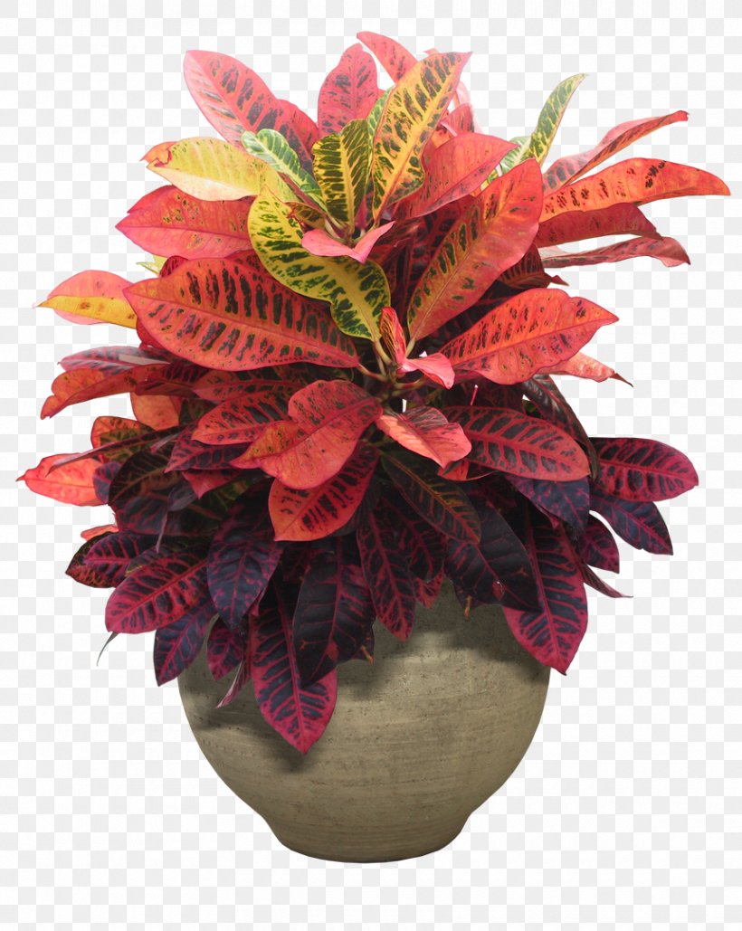Houseplant Flowerpot, PNG, 860x1080px, Houseplant, Artificial Flower, Computer Graphics, Cut Flowers, Floral Design Download Free
