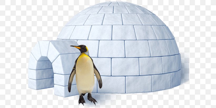 Igloo King Penguin, PNG, 617x411px, Igloo, Beak, Bird, Emperor Penguin, Fauna Download Free