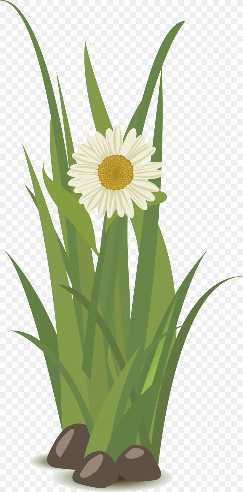 Yellow Floral Design, PNG, 1128x2282px, Yellow, Commodity, Flora, Floral Design, Floristry Download Free
