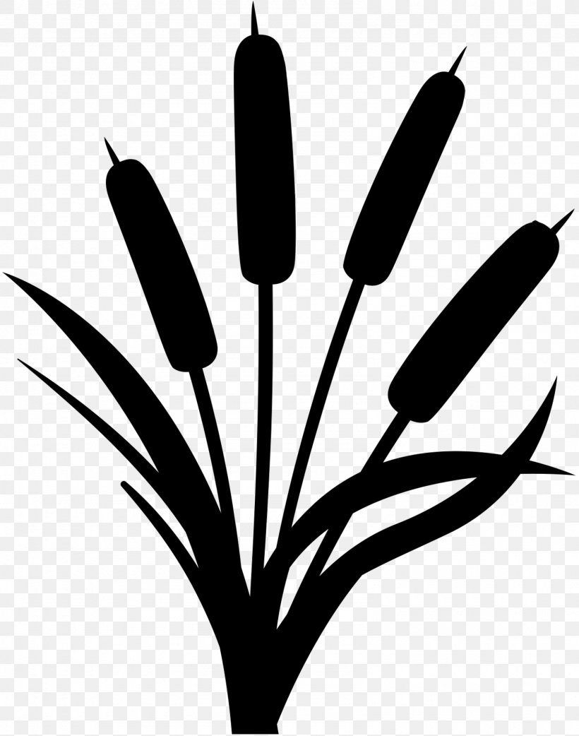 Clip Art Branch Plant Stem Black & White, PNG, 1590x2022px, Branch, Black White M, Blackandwhite, Coloring Book, Flower Download Free
