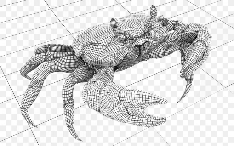 Crab Decapoda Drawing, PNG, 1200x750px, Crab, Black And White, Cangrejo, Close Up, Crabe Download Free