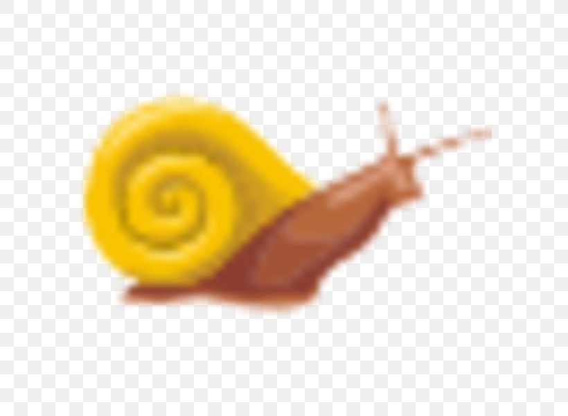 Snail, PNG, 600x600px, Snail, Invertebrate, Molluscs, Snails And Slugs Download Free