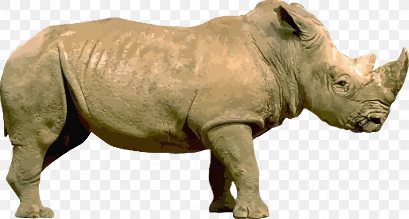 Rhinoceros Stock Illustration Illustration, PNG, 875x469px, Rhinoceros, Drawing, Fauna, Fotosearch, Horn Download Free