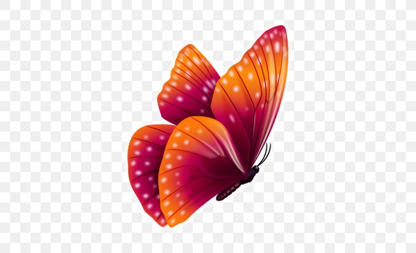 Butterfly Color, PNG, 500x500px, Butterfly, Color, Flower, Illustrator, Magenta Download Free