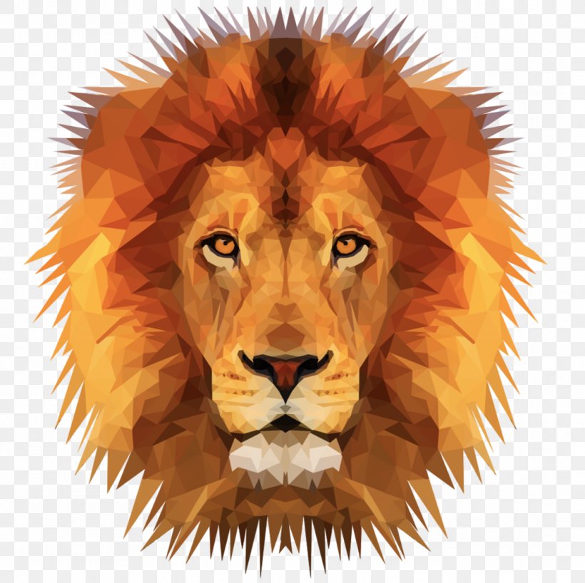 Lionhead Rabbit Sea Lion Cat Clip Art, PNG, 1065x1063px, Lion, Big Cat, Big Cats, Carnivoran, Cat Download Free