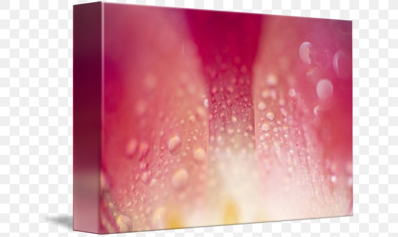 Petal Desktop Wallpaper Art Close-up Canvas, PNG, 650x489px, Petal, Art, Canvas, Close Up, Closeup Download Free