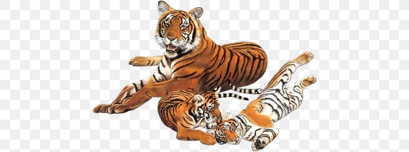 Tiger Photography Blog, PNG, 450x305px, Tiger, Animal Figure, Animated Film, Bewegte Bilder, Big Cats Download Free