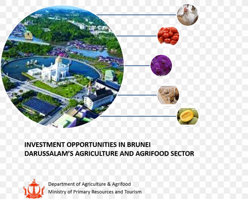 United States Department Of Agriculture Brunei Water Resources, PNG, 1252x1006px, Agriculture, Animated Film, Brunei, Investment, Organism Download Free