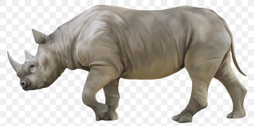 White Rhinoceros Black Rhinoceros Clip Art, PNG, 800x408px, Rhinoceros, Animal, Animal Figure, Black Rhinoceros, Document Download Free