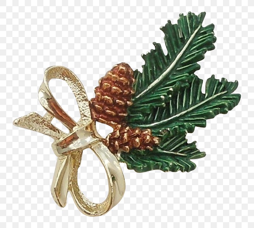 Tree Conifers Christmas Ornament Pine, PNG, 739x739px, Tree, Christmas, Christmas Ornament, Conifer, Conifers Download Free