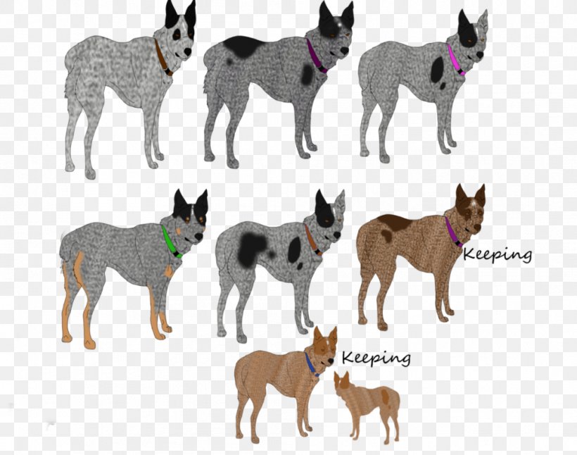 Dog Breed Wildlife Razas Nativas Vulnerables, PNG, 1007x794px, Dog, Breed, Carnivoran, Dog Breed, Dog Breed Group Download Free