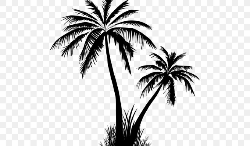 Palm Tree Silhouette, PNG, 640x480px, Palm Trees, Arecales, Attalea Speciosa, Blackandwhite, Coconut Download Free