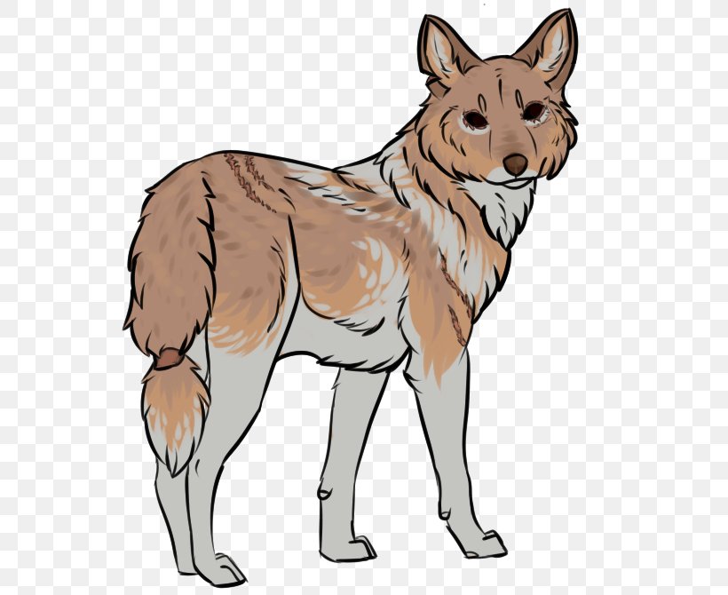 Saarloos Wolfdog Czechoslovakian Wolfdog Coyote Red Fox Dingo, PNG, 603x670px, Saarloos Wolfdog, Breed, Carnivoran, Coyote, Czechoslovakian Wolfdog Download Free