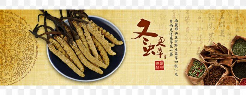 Yushu Tibetan Autonomous Prefecture Caterpillar Fungus Crude Drug Banner, PNG, 1180x460px, Yushu Tibetan Autonomous Prefecture, Animal Sauvage, Banner, Caterpillar Fungus, Chinese Herbology Download Free